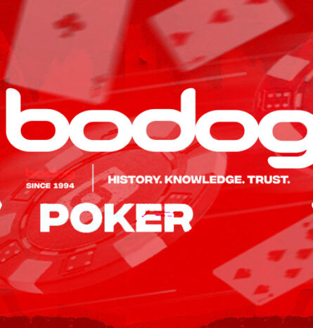 Bodog Poker overview
