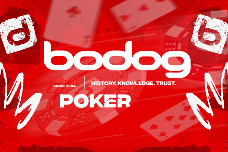 Detailed overview of the Bodog Poker site